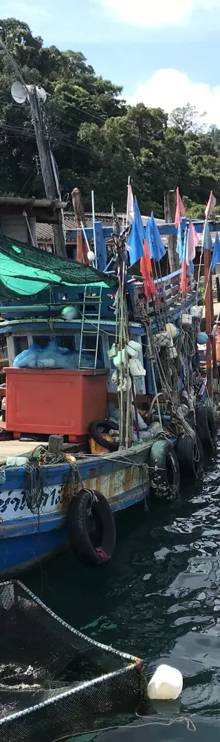 Die Reise geht weiter